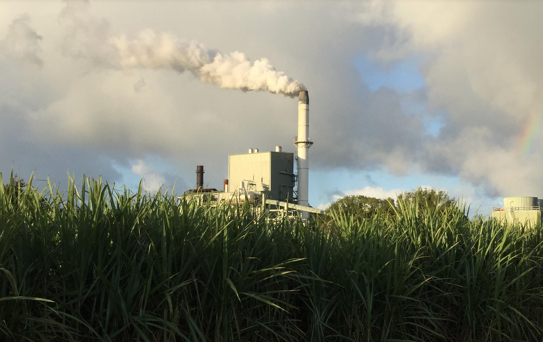 A brief history of the Tweed Valley sugar industry and the Condong Mill
